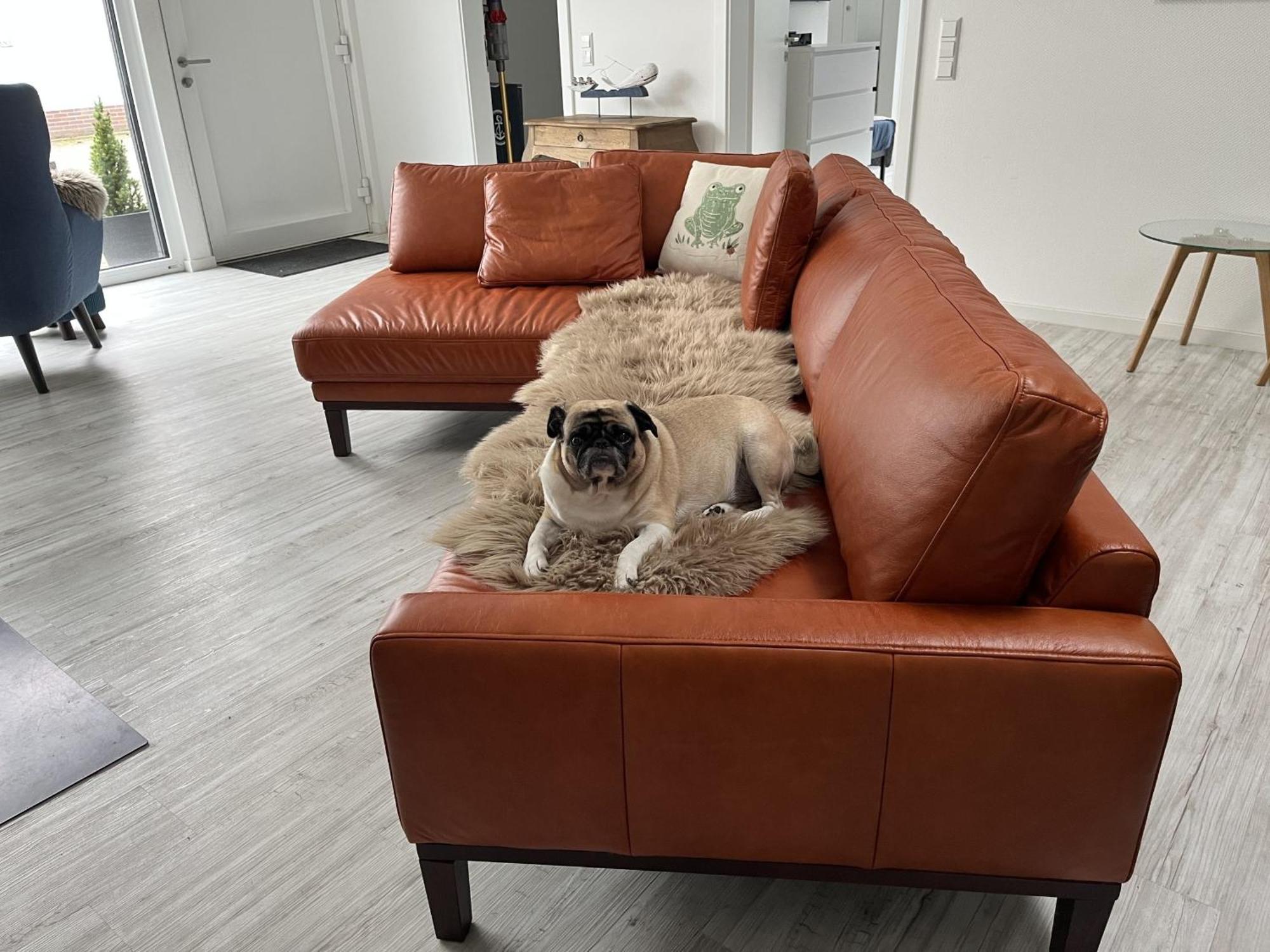 Ferienwohnung Nr 5 Wunstorf Ngoại thất bức ảnh